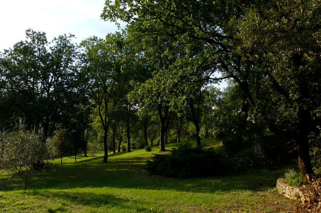 Bed and Breakfast La Colonna Montelanico Екстер'єр фото
