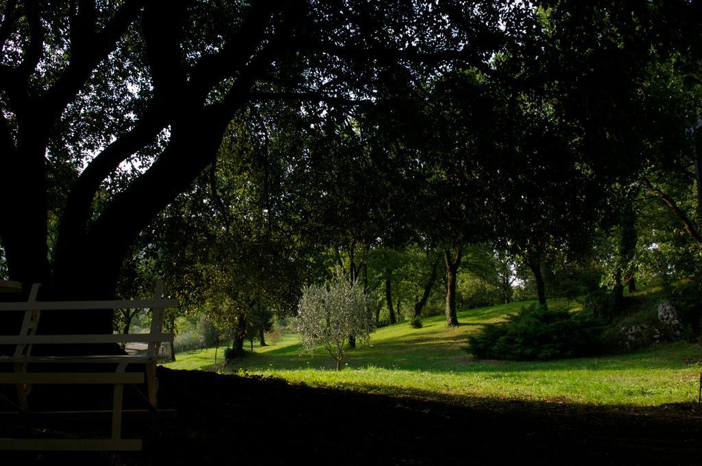 Bed and Breakfast La Colonna Montelanico Екстер'єр фото